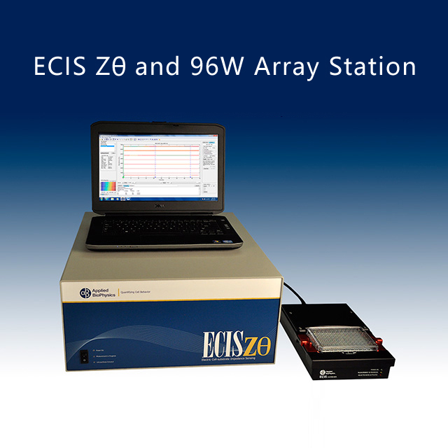 請?zhí)顚憳?biāo)題